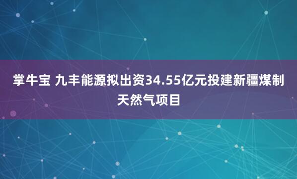 掌牛宝 九丰能源拟出资34.55亿元投建新疆煤制天然气项目
