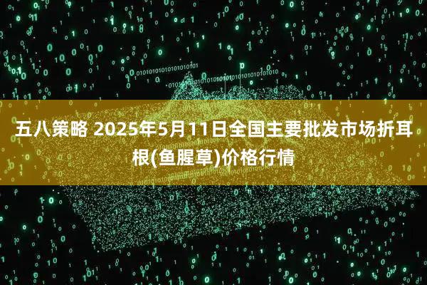 五八策略 2025年5月11日全国主要批发市场折耳根(鱼腥草)价格行情