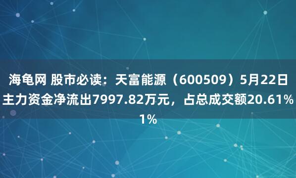 海龟网 股市必读：天富能源（600509）5月22日主力资金净流出7997.82万元，占总成交额20.61%