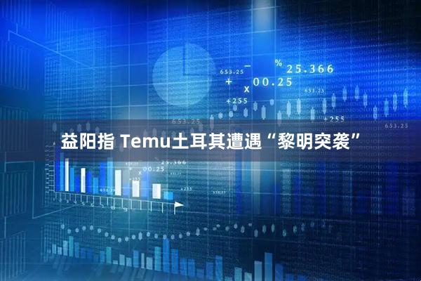 益阳指 Temu土耳其遭遇“黎明突袭”