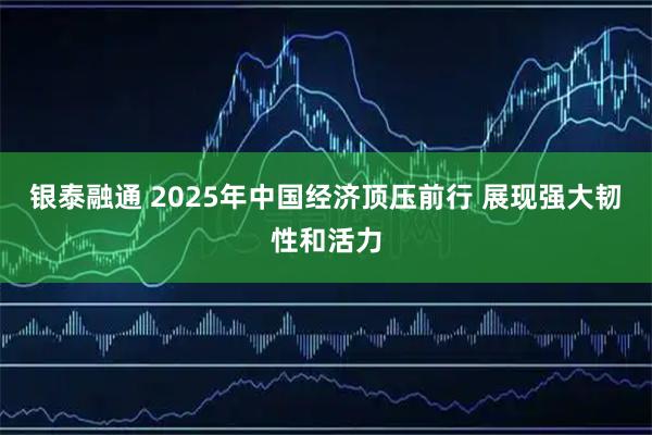 银泰融通 2025年中国经济顶压前行 展现强大韧性和活力